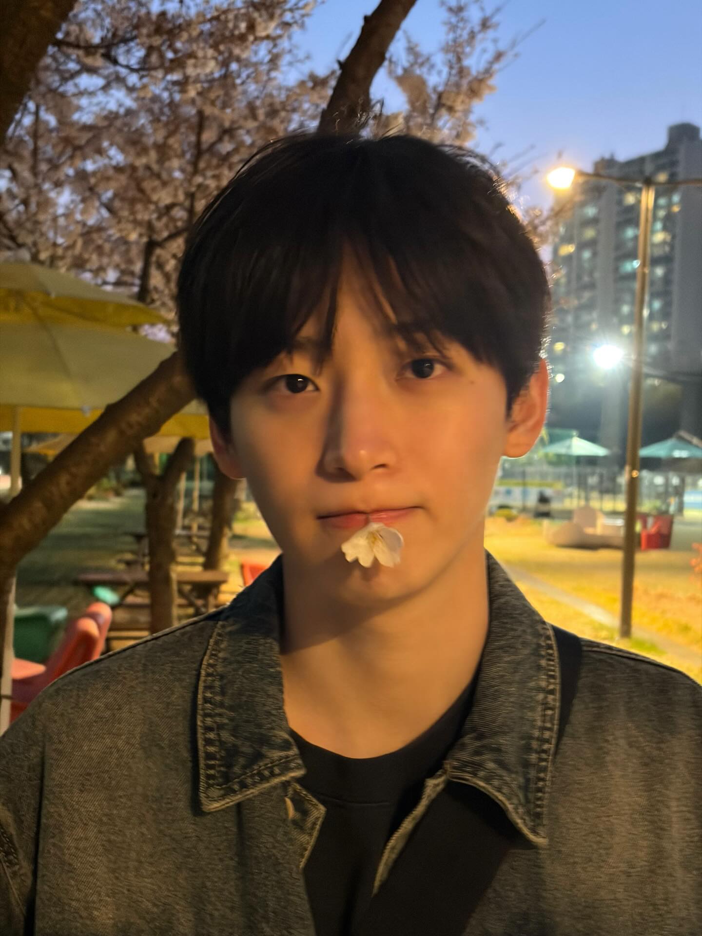 [잡담] 크래비티 정모가 찍은 벚꽃 이쁘다 | 인스티즈