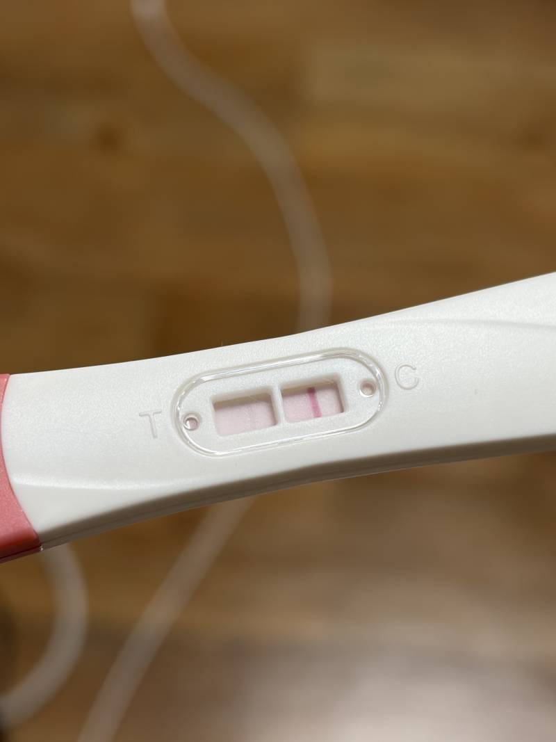 [잡담] 사람 하나 살린단셈 치고 임테기 함만 봐줘ㅠㅠㅜ | 인스티즈