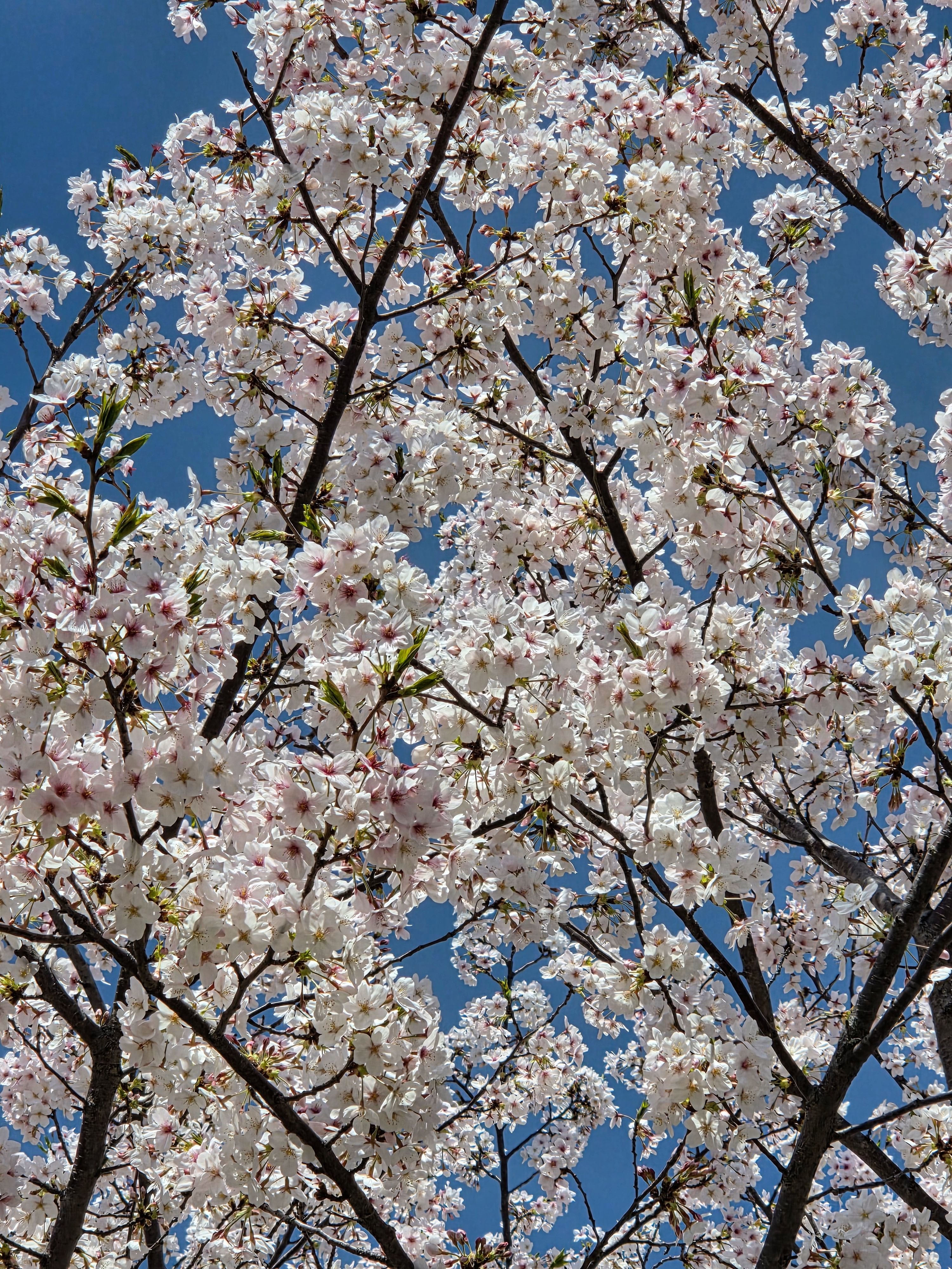 [잡담] 일본에서 찍어준 성찬이 사진보니깐..일본 날씨 개좋다 | 인스티즈