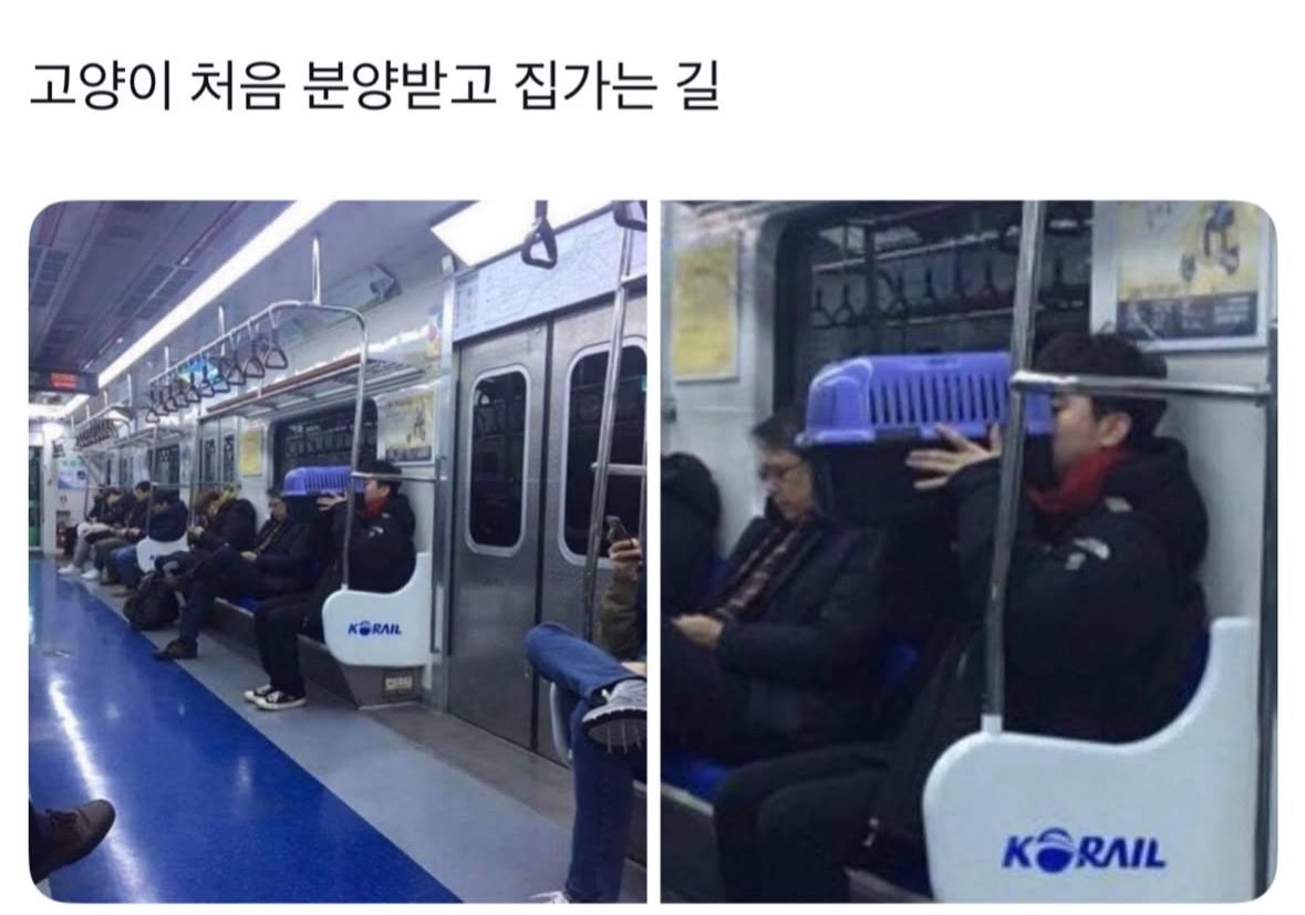 [잡담] 스테이들아 궁금한게 있는데 이 사진 | 인스티즈