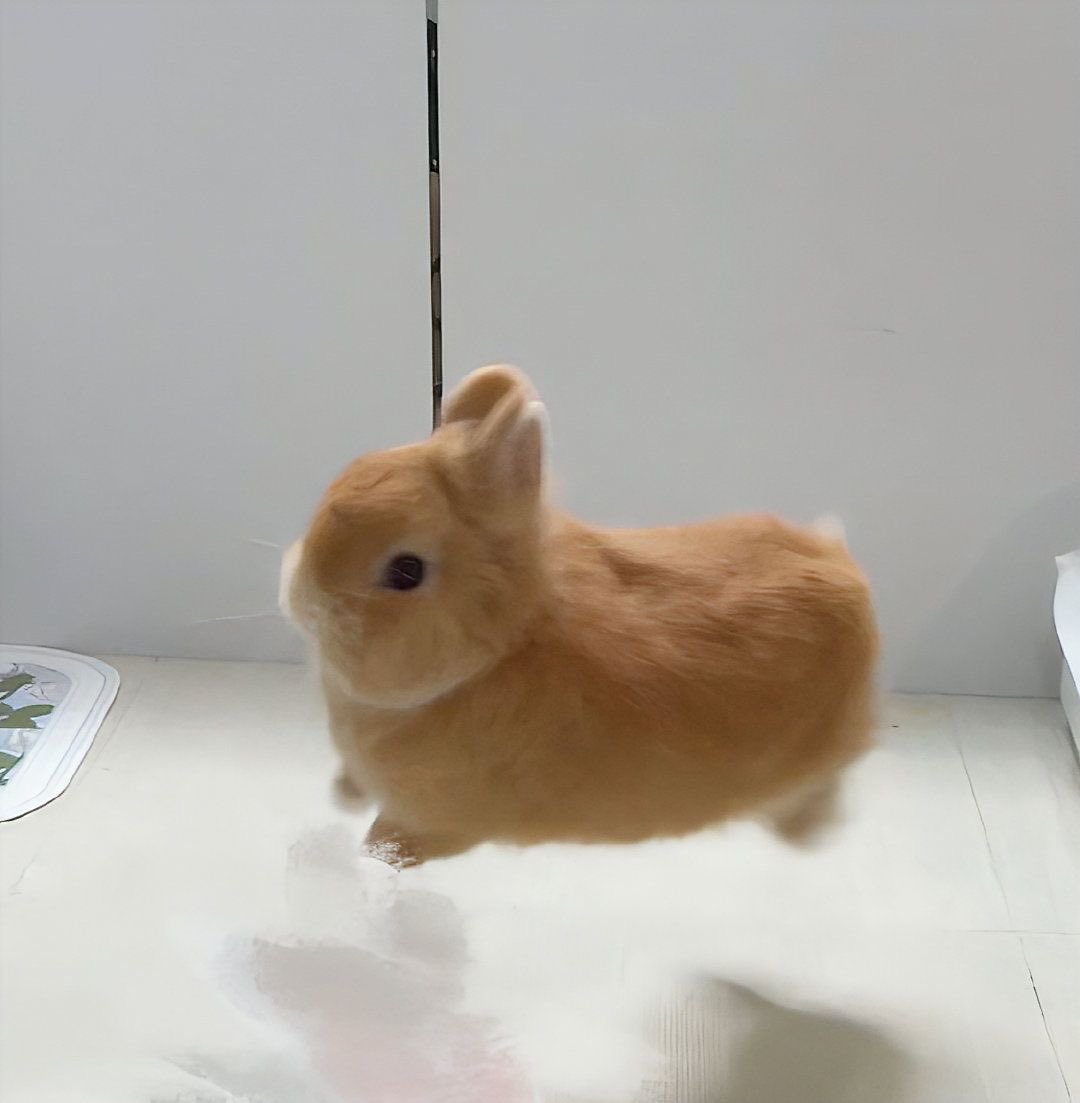 [잡담] 역시 성찬이는.... | 인스티즈