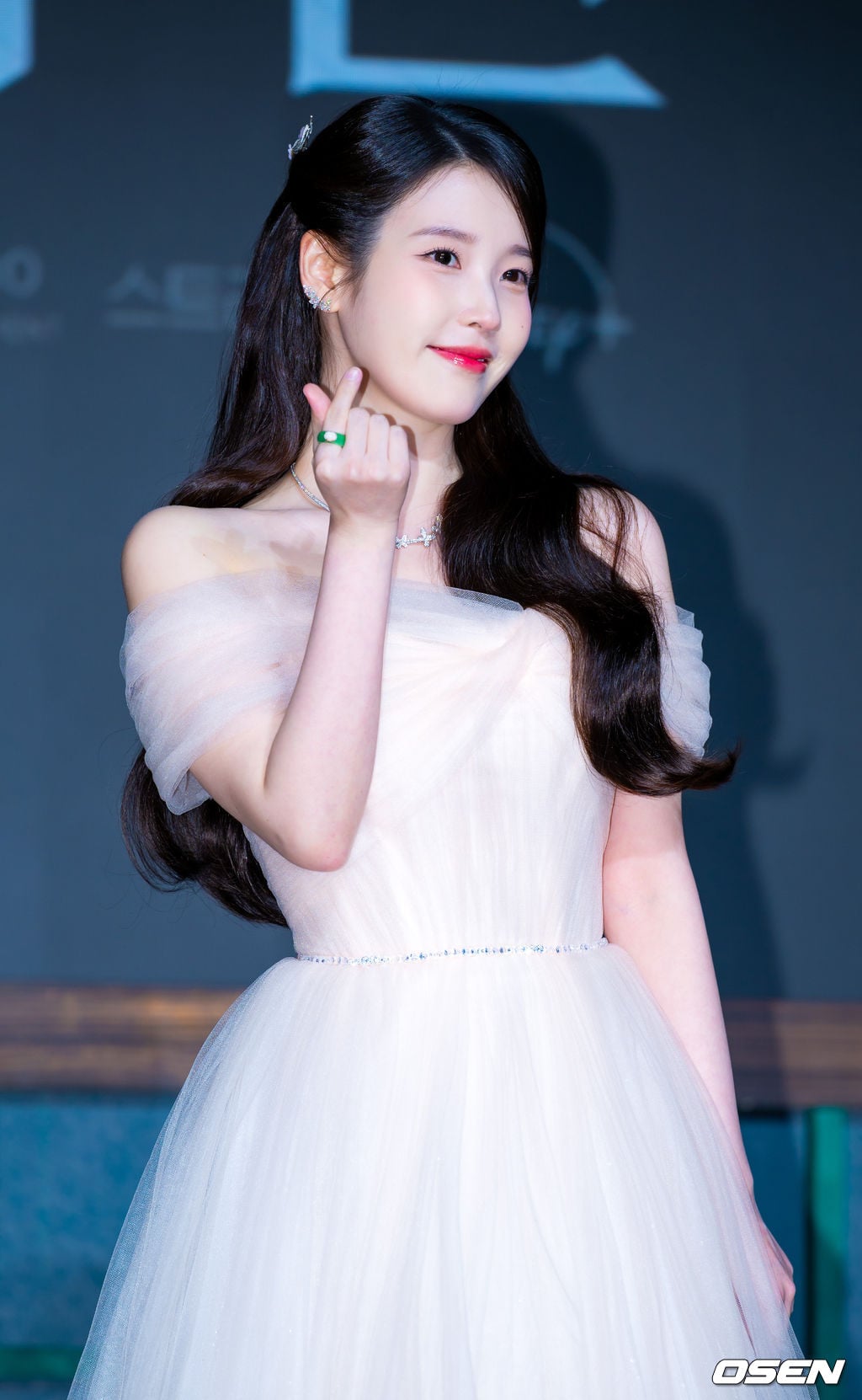 [잡담] 나 아이유 이 기사사진 홈마사진인줄.. | 인스티즈