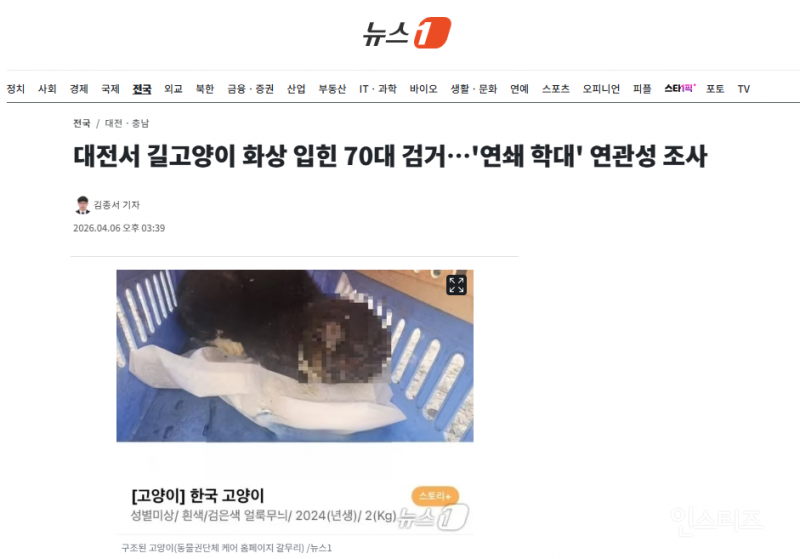 대전서 길고양이 화상 입힌 70대 검거…'연쇄 학대' 연관성 조사 | 인스티즈