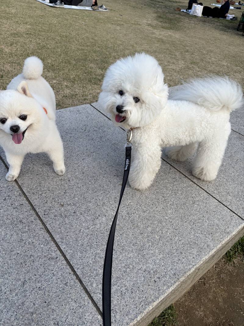 [잡담] 저번주에 한강공원 갔는데 돗자리피고 자리에 앉은 사람들이 환장함… | 인스티즈