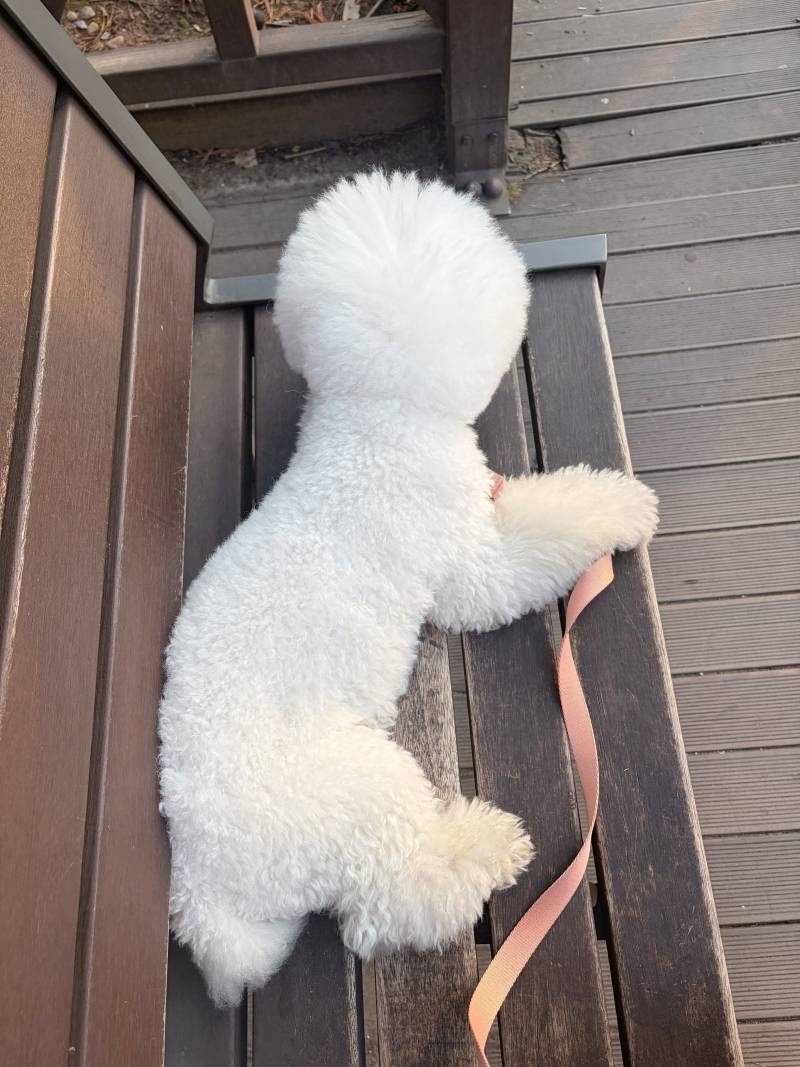 [잡담] 저번주에 한강공원 갔는데 돗자리피고 자리에 앉은 사람들이 환장함… | 인스티즈