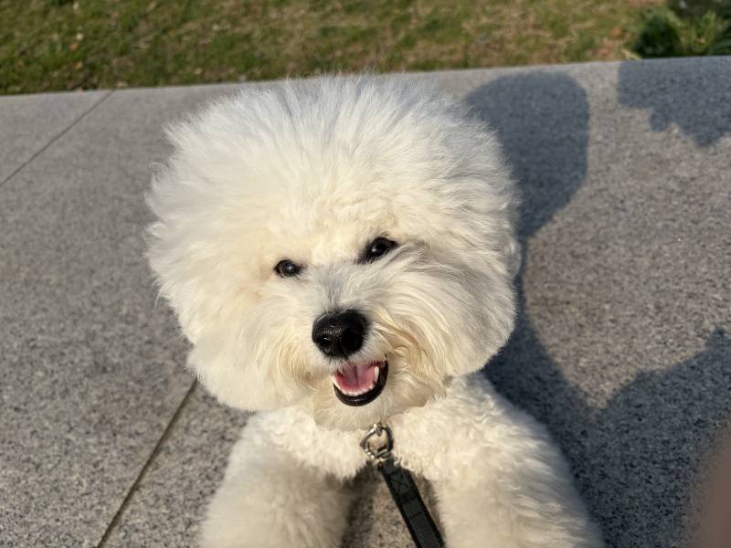 [잡담] 저번주에 한강공원 갔는데 돗자리피고 자리에 앉은 사람들이 환장함… | 인스티즈