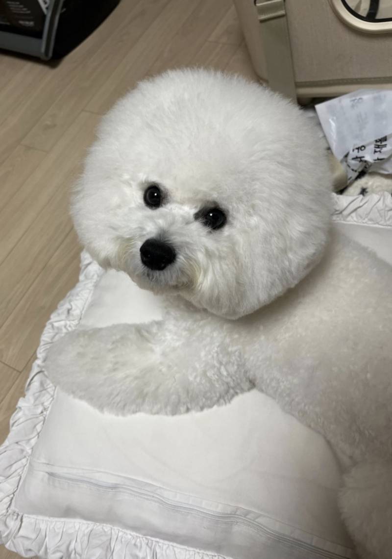 [잡담] 저번주에 한강공원 갔는데 돗자리피고 자리에 앉은 사람들이 환장함… | 인스티즈