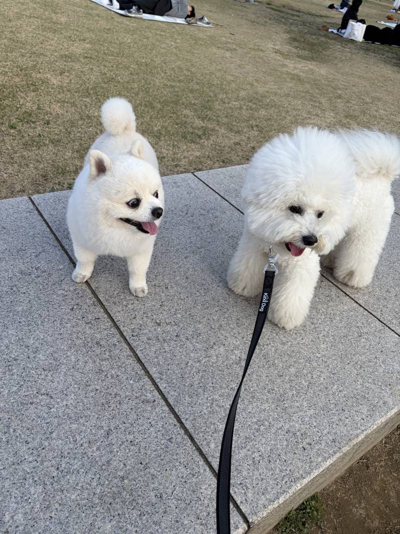 [잡담] 저번주에 한강공원 갔는데 돗자리피고 자리에 앉은 사람들이 환장함… | 인스티즈