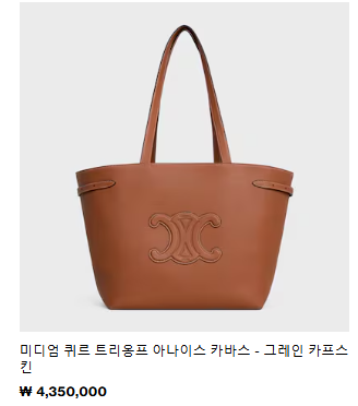 [잡담] 셀린느 이가방 쫌 노티나보여? | 인스티즈