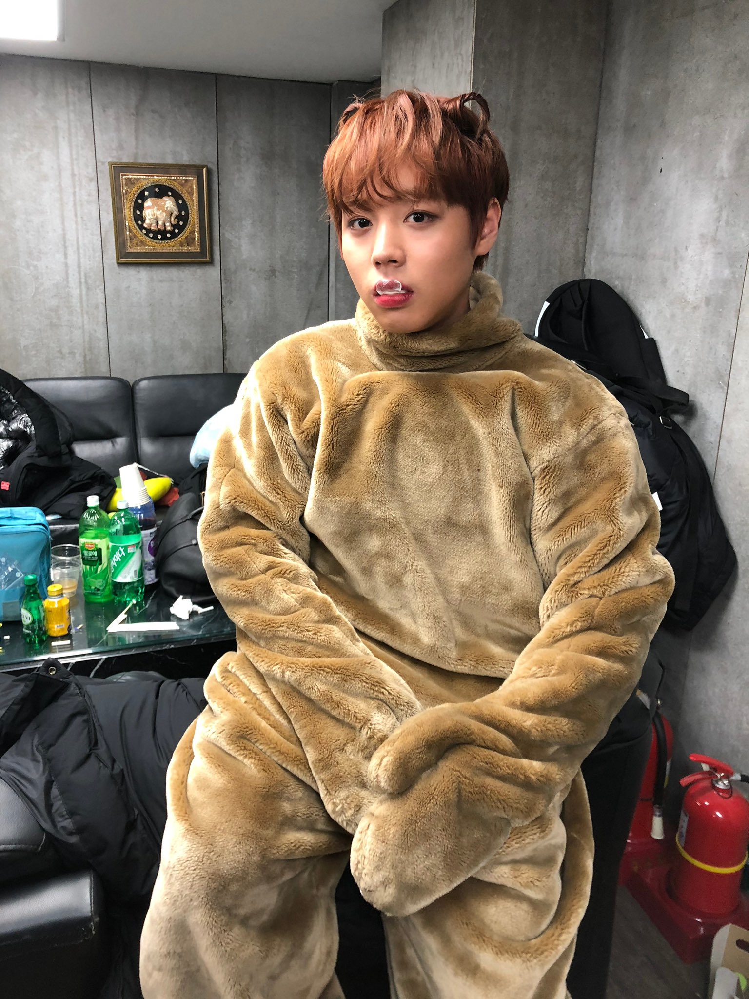 [잡담] 박지훈 이 사진들을 자기들끼리 간직하고 있었다고? | 인스티즈