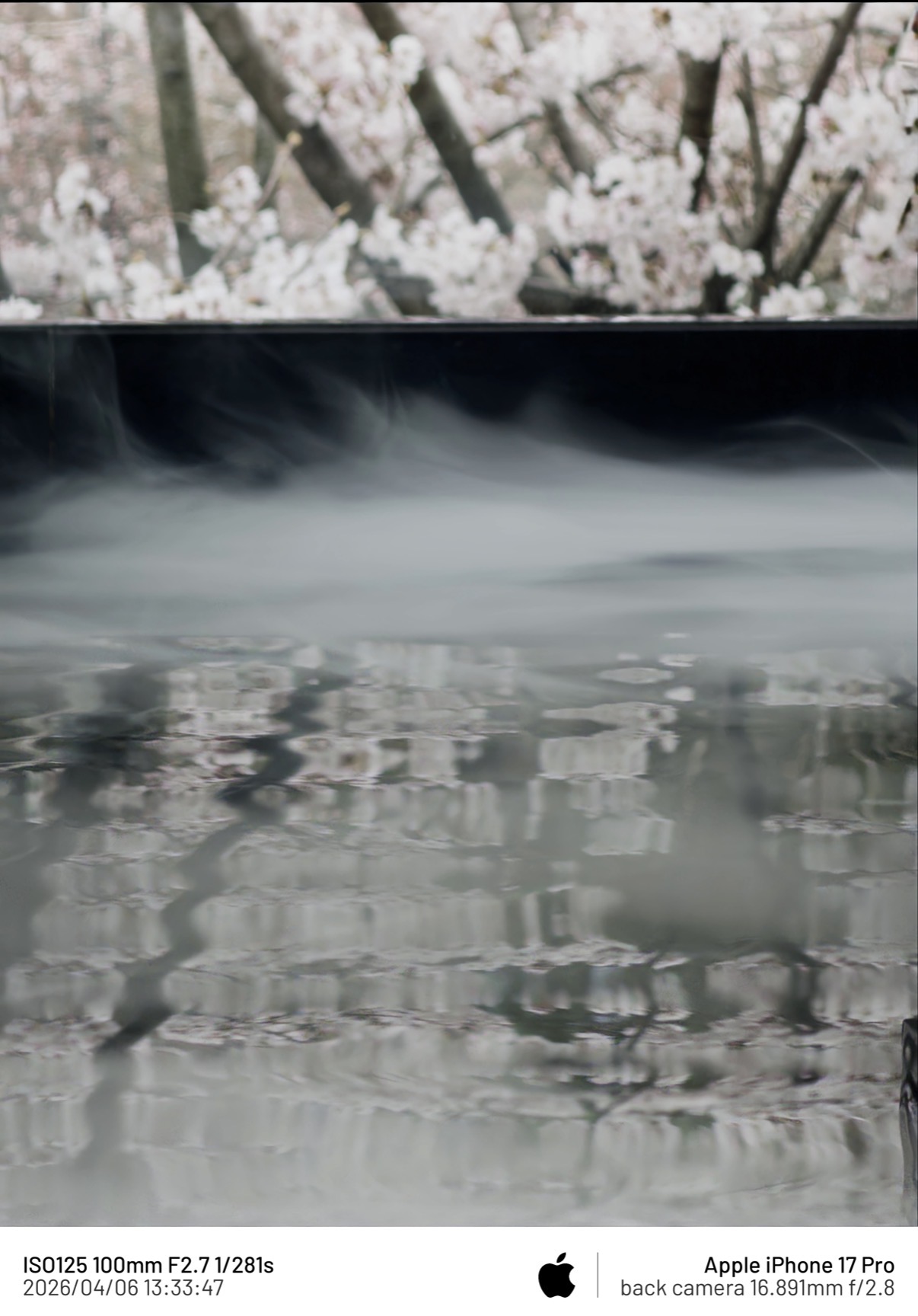 [잡담] 특이한 꽃 사진 찍어봄🌸 | 인스티즈