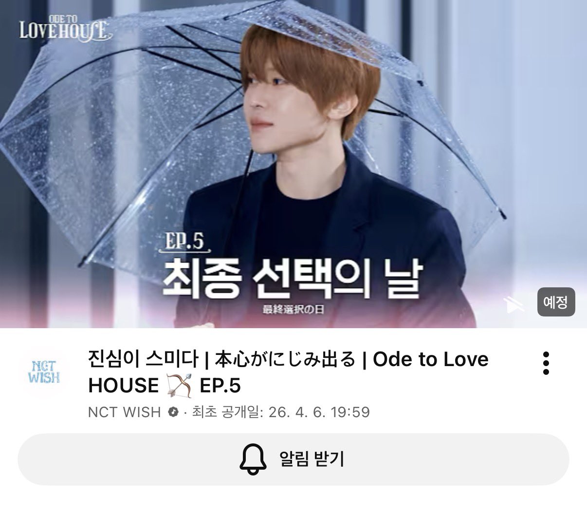 [잡담] 아ㅁㅊ 위시 진짜 연프처럼 | 인스티즈