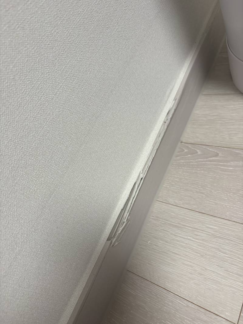 [잡담] 자취방 몰딩 깨짐…이거 어캄….? | 인스티즈