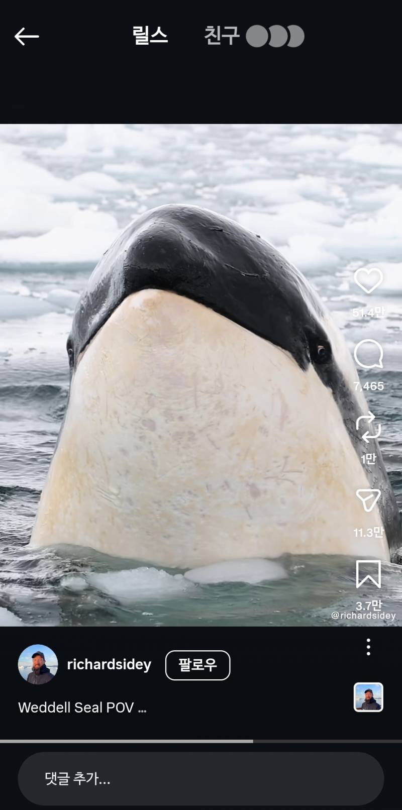 [잡담] 범고래 눈 개무서워... | 인스티즈