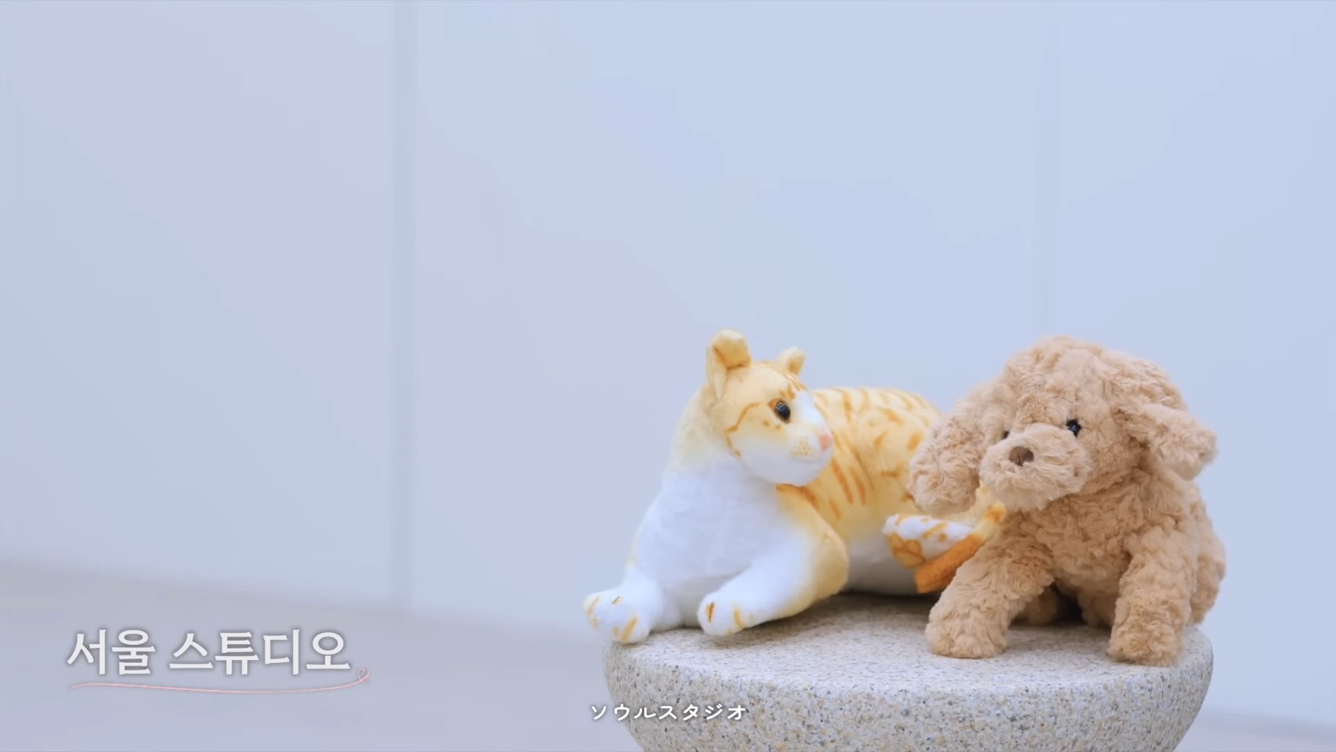 [잡담] 위시 자컨 진짴ㅋㅋㅋㅋㅋㅋㅋㅋ복선 깔아둔 것 봐(p) | 인스티즈