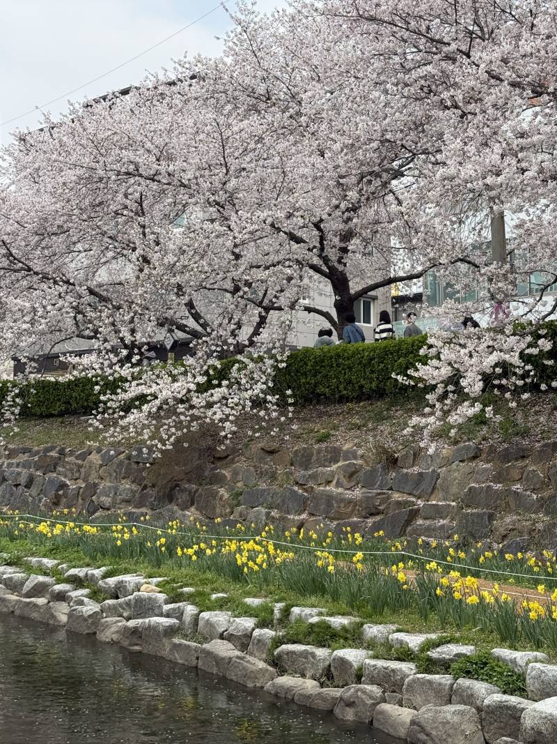 [잡담] 월욜 저녁 넘 심심하다 | 인스티즈