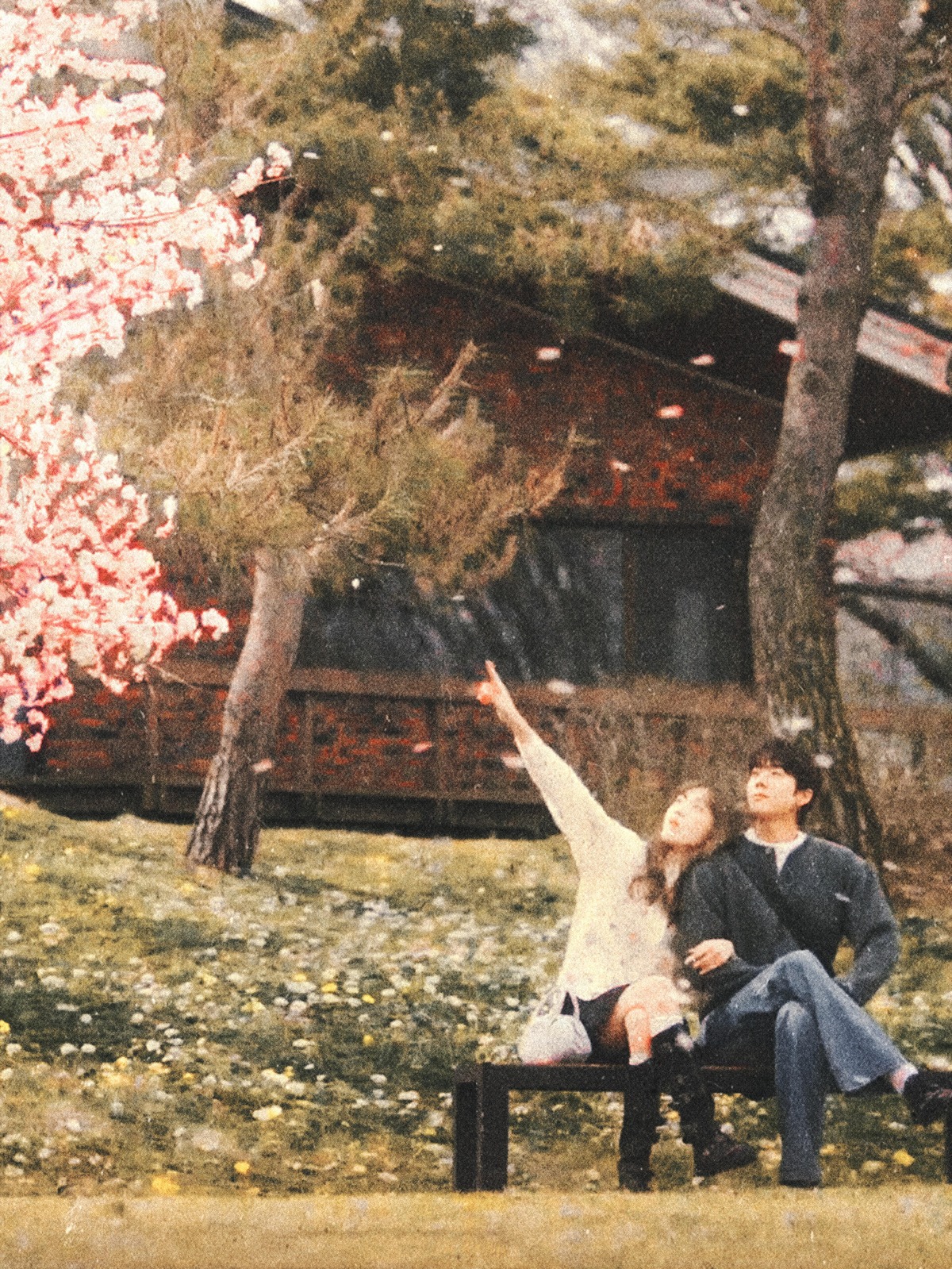 [잡담] 찬너계) 너무 예뻐ㅠㅠㅠㅠ찬란 | 인스티즈