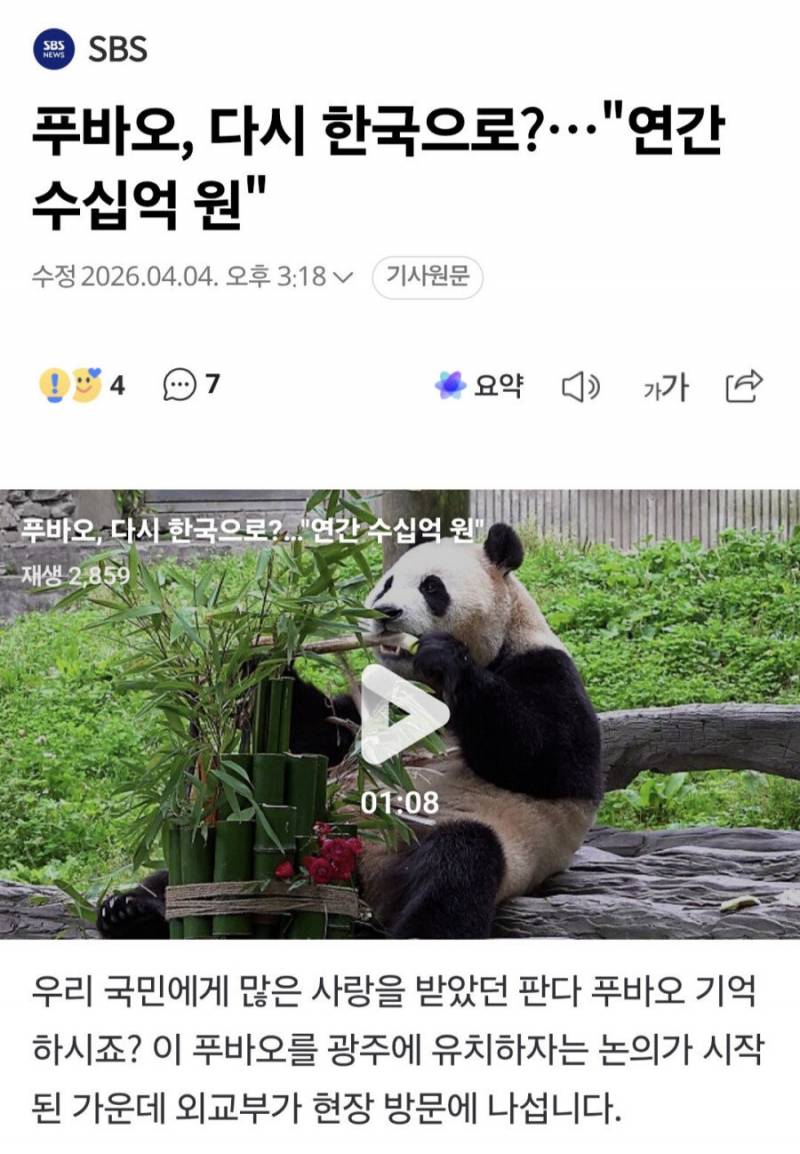 🐼푸바오 한국으로 돌아오나? 세금 '최소' 수십억원 | 인스티즈