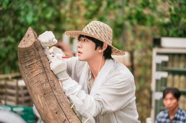 [정보/소식] 오매진) '오늘도 매진' 안효섭 "SBS 아들? 부끄럽지만 그만큼 의지된다” | 인스티즈