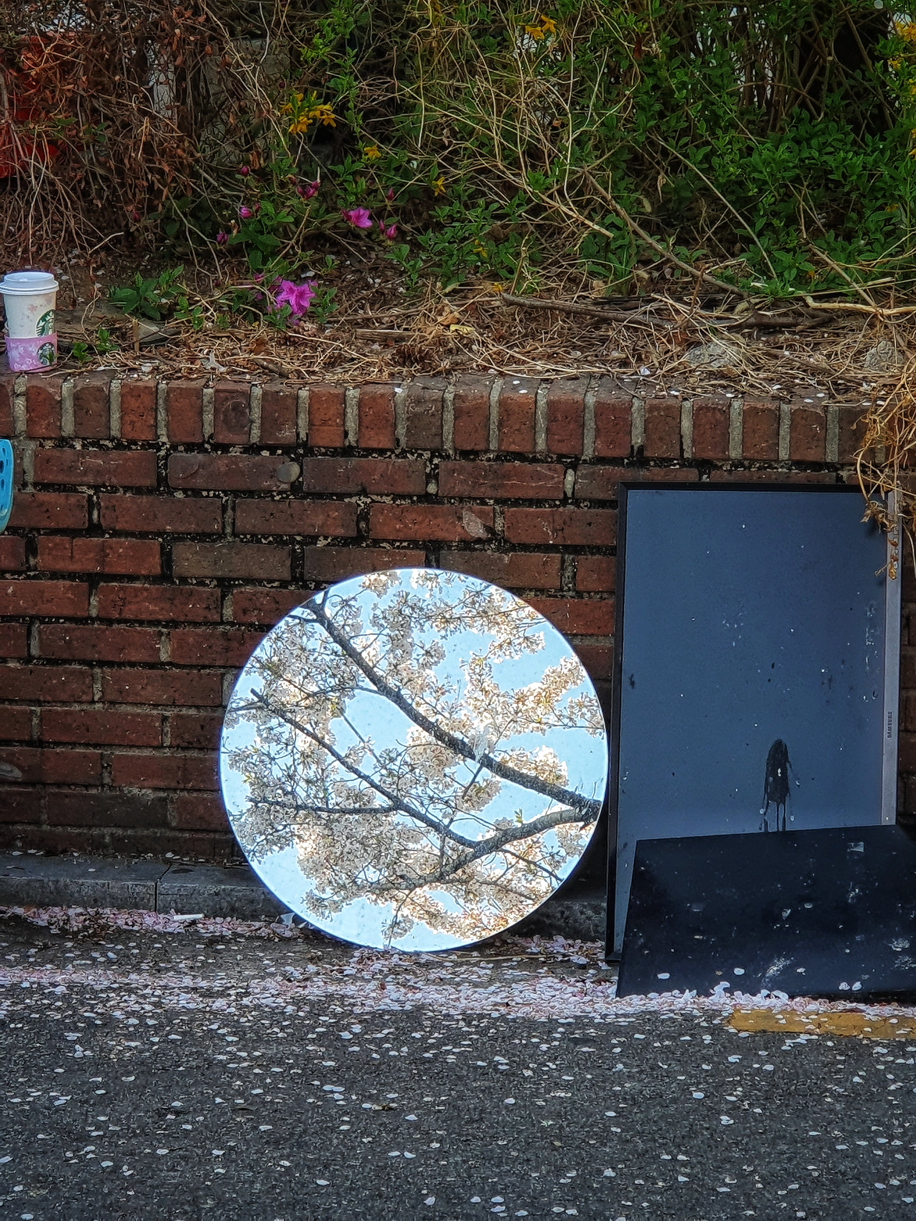 버려진 거울에도 낭만이 담겨있다🥹🌸 월요팅 | 인스티즈
