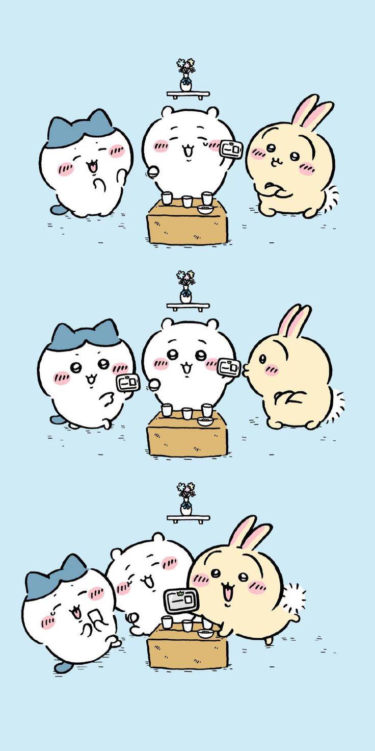 [잡담] 자격증 꼭 따자 [폰배경화면] | 인스티즈