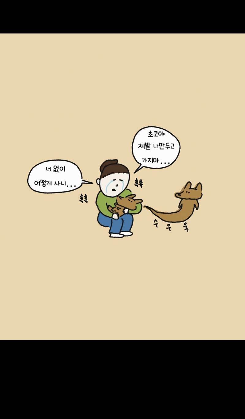 [잡담] 아기강아지 입양 1개월차인데 벌써부터 눈물나ㅠㅠ | 인스티즈