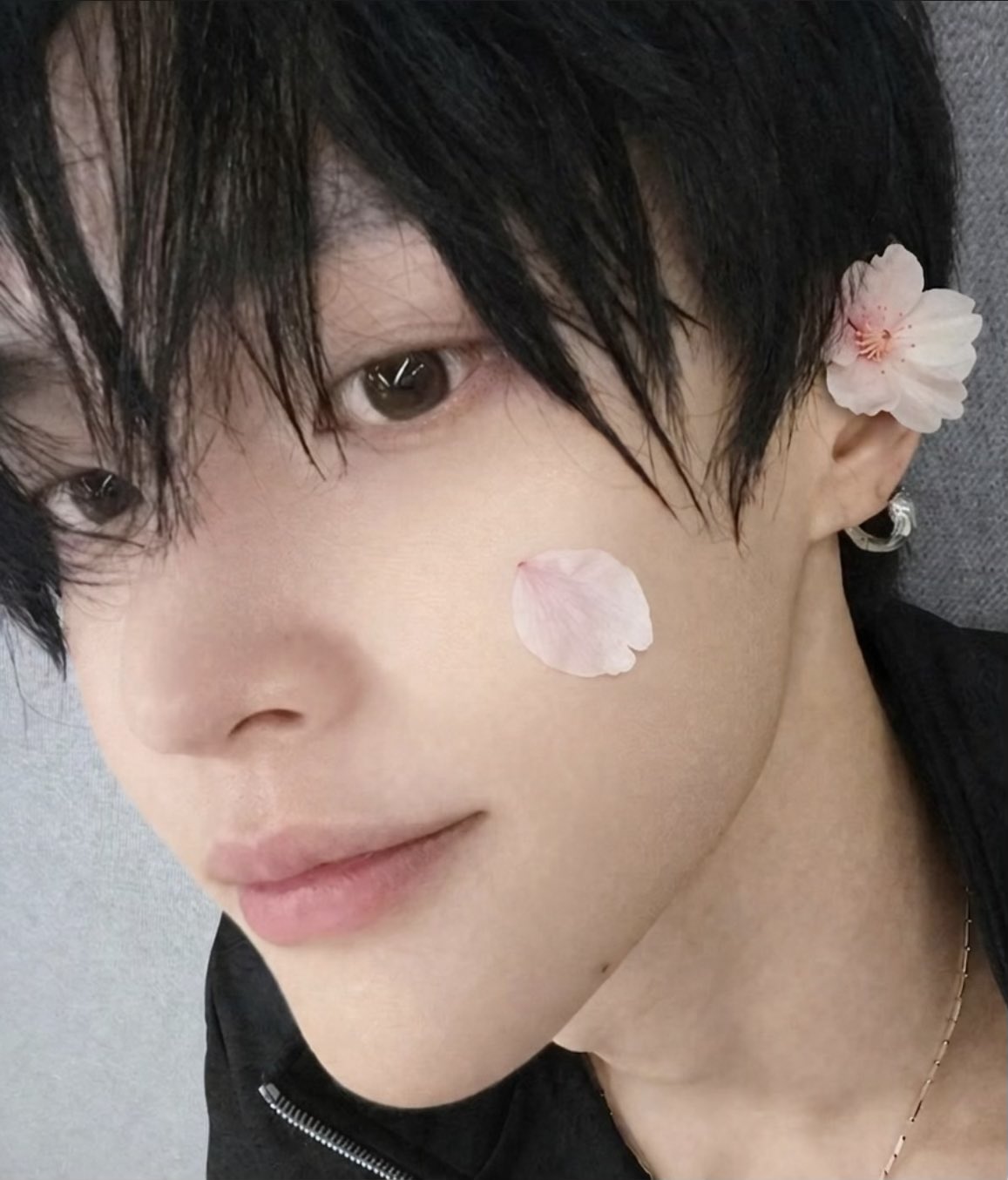 [잡담] 원빈이 벚꽃 셀카 자급자족하면 되,, | 인스티즈