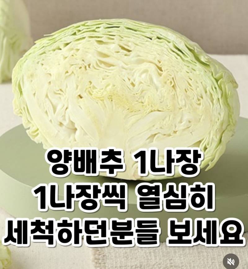 [잡담] 이거 맞춤법 일부러겠지 | 인스티즈