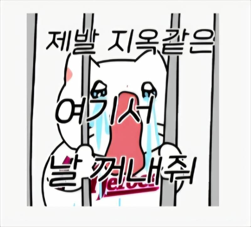 [잡담] 🐱⚾️ 카톡 키움히어로즈 냐한남자 춘배 영철 콜라보 이모티콘 봤니 짱귀 | 인스티즈