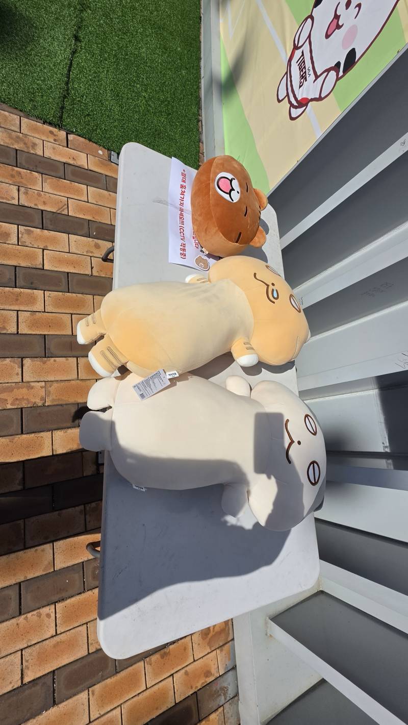 [잡담] 틴틴팅클 포토존 졸귀 ฅ₍ᵔ= ˃Ⱉ˂ =ᵔ₎ฅ | 인스티즈