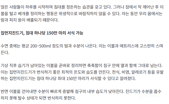 침대 정리 타이밍 따로 있다…'이때' 정리하면 진드기 쉽게 번식한다고? | 인스티즈
