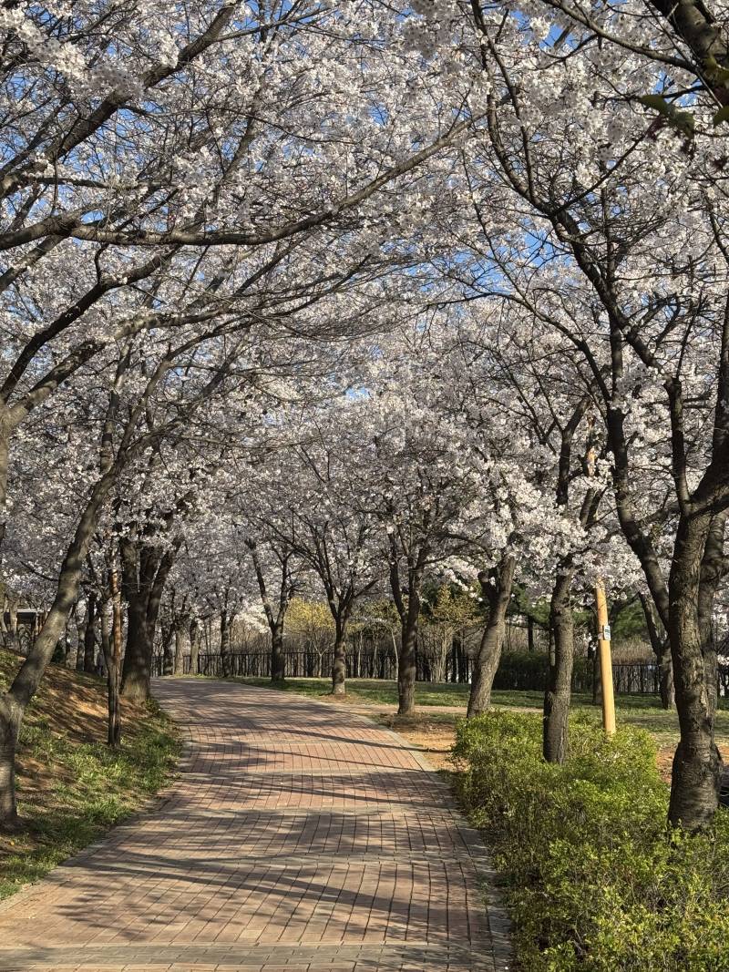 [잡담] 내 퇴근길 볼 사람 | 인스티즈