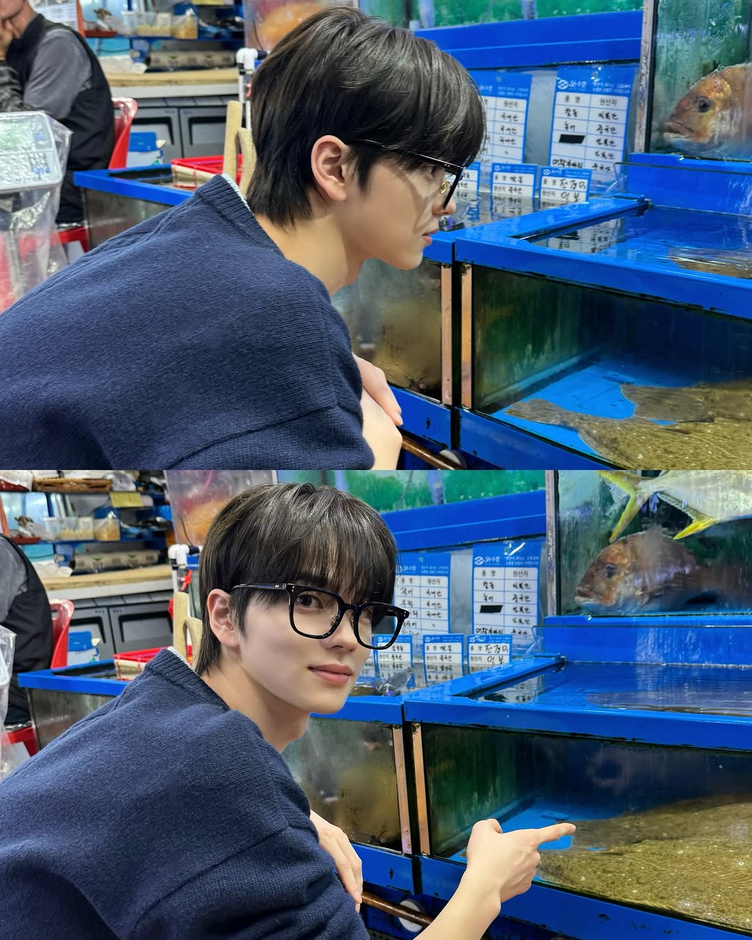 [잡담] 투어스 신유 수산시장 왜갔던거야?? | 인스티즈