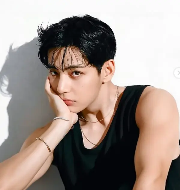 [정리글] 빅히트 운도 좋은거 같은 방탄, 투바투, 코르티스 캐스팅멤버들 | 인스티즈