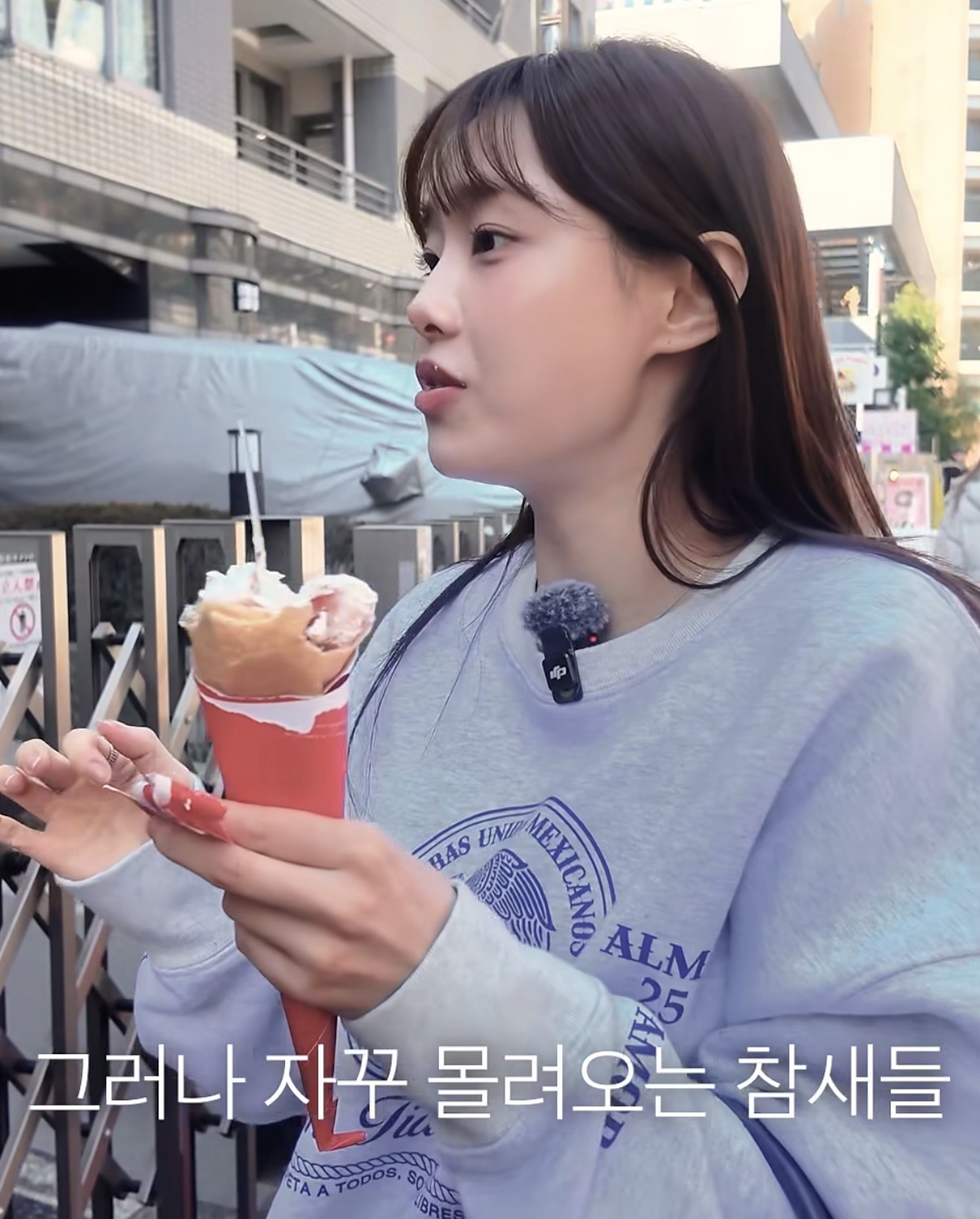 [잡담] 하 츄 개귀여움 아니 참새가 | 인스티즈