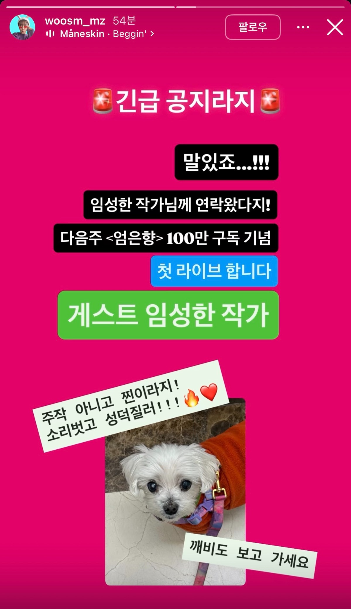 [잡담] 앵 엄은향 유튭에 임성한 온다는대...? | 인스티즈