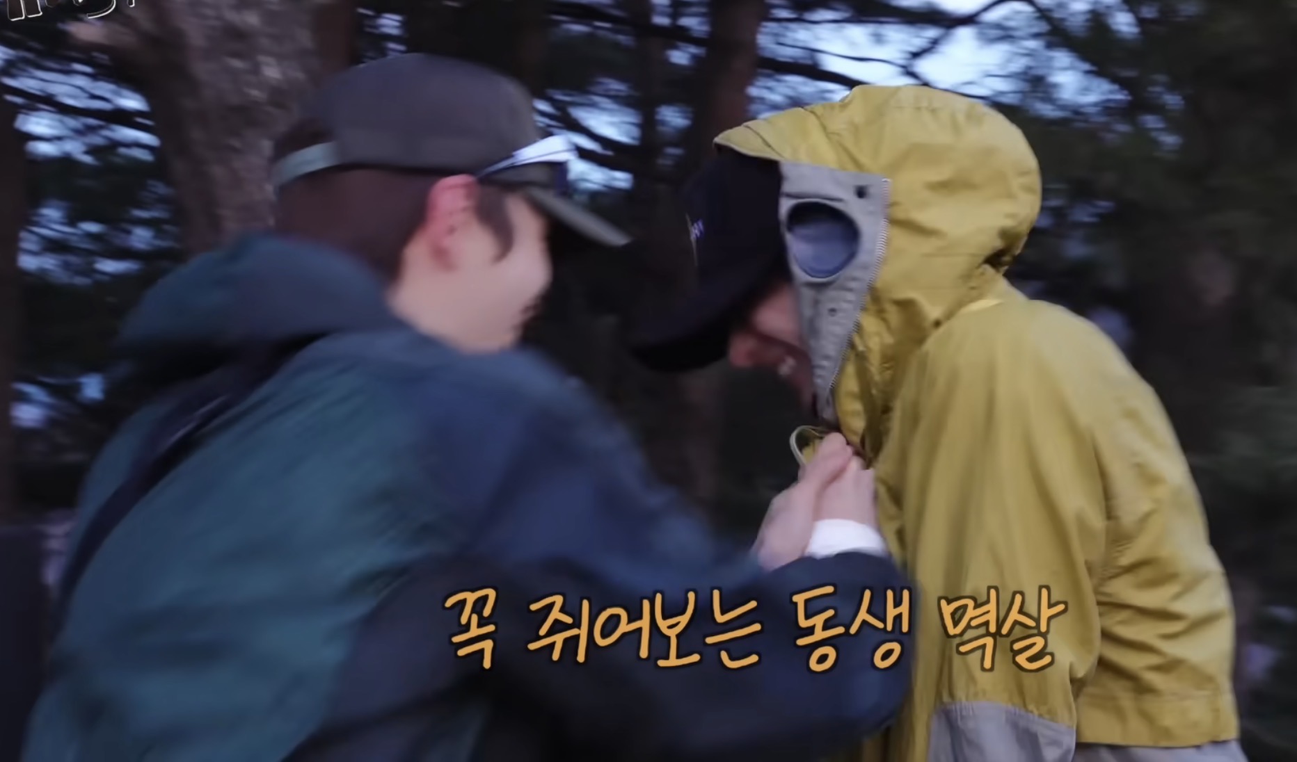 [잡담] 라이즈 자컨 자막 | 인스티즈