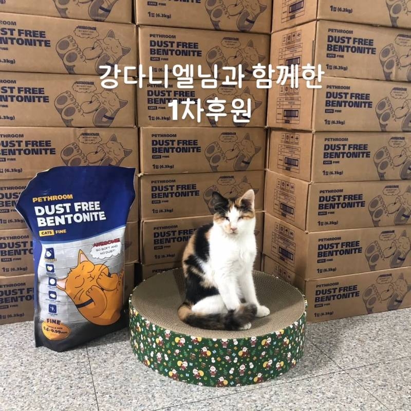 강다니엘 생일에 고양이 모래 공장 견학 + 벤토 모래 기부 | 인스티즈