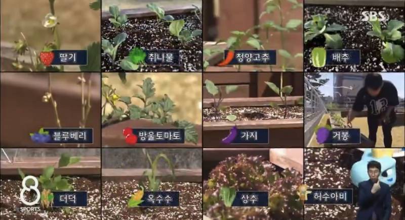 [잡담] 엔씨가 역시 팜이 좋다 | 인스티즈