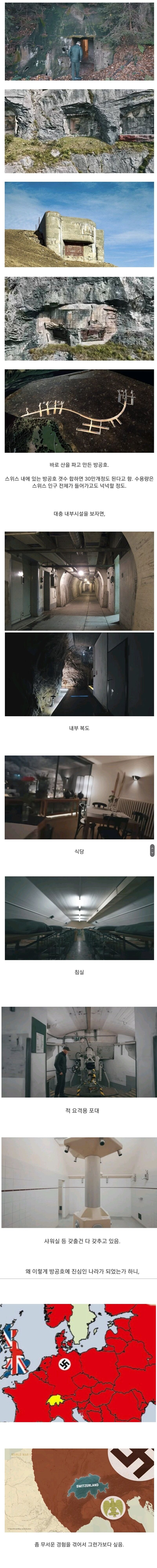 스위스가 다른나라에 비해 월등히 많다는것 | 인스티즈