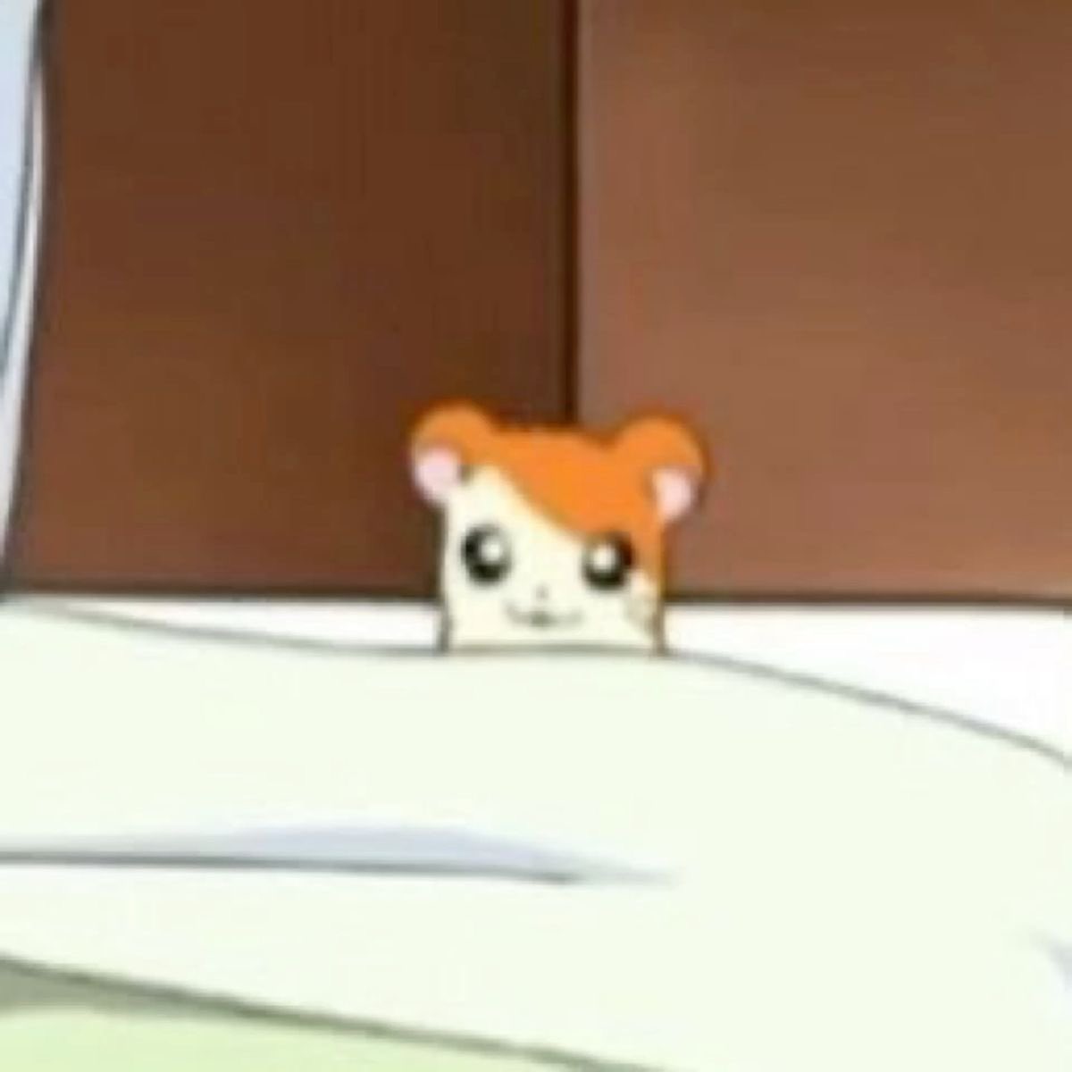 [잡담] 내 햄 너무 보고싶다!!! | 인스티즈
