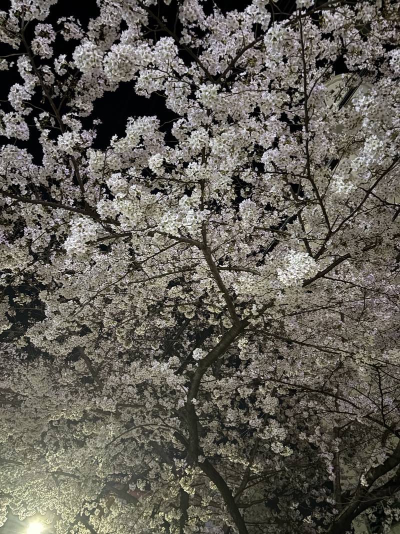[잡담] 직관무지 이제 집 도착 | 인스티즈