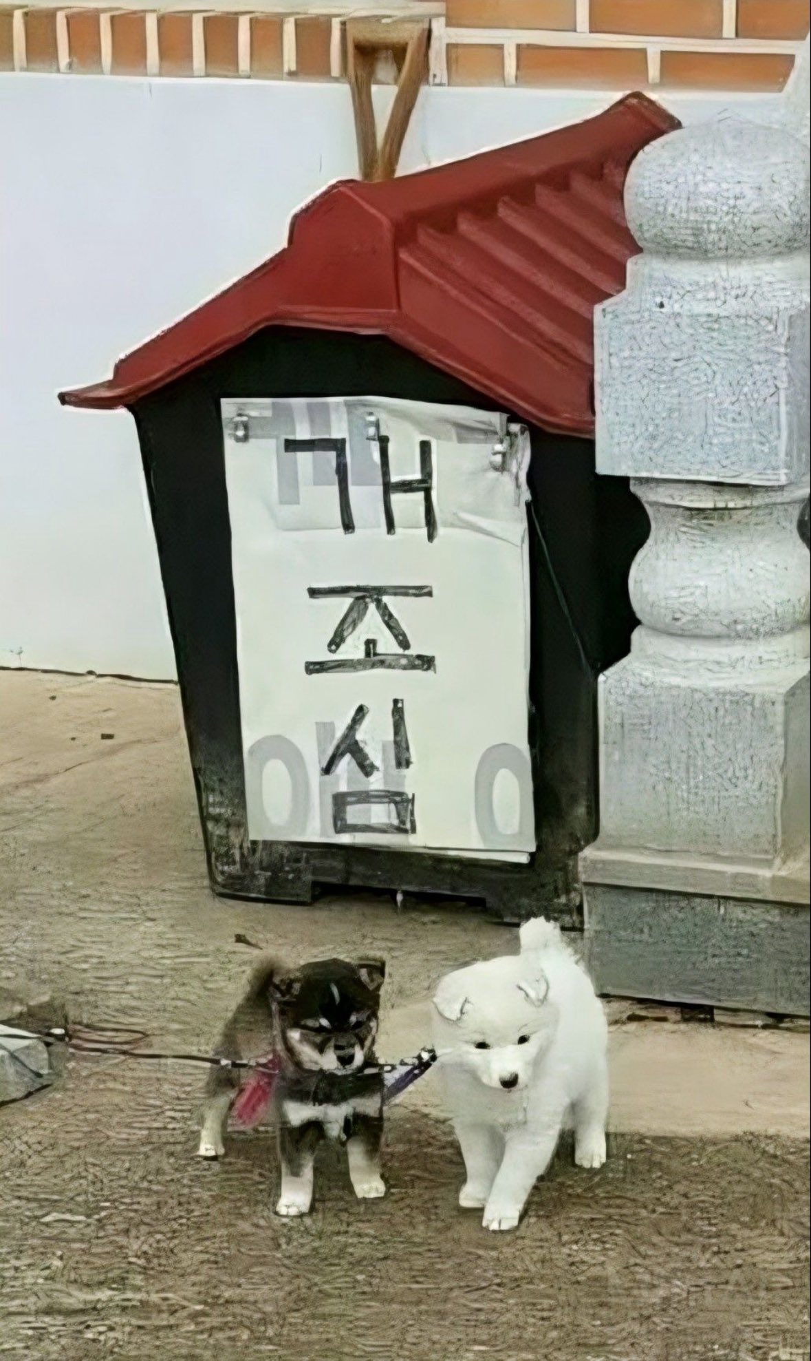 [잡담] 진짜 무서운 사진 보여줄게 | 인스티즈