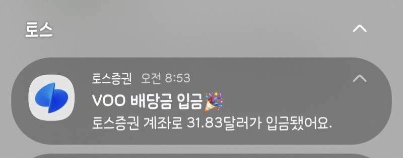 [잡담] voo 배당금 들어왔어 | 인스티즈
