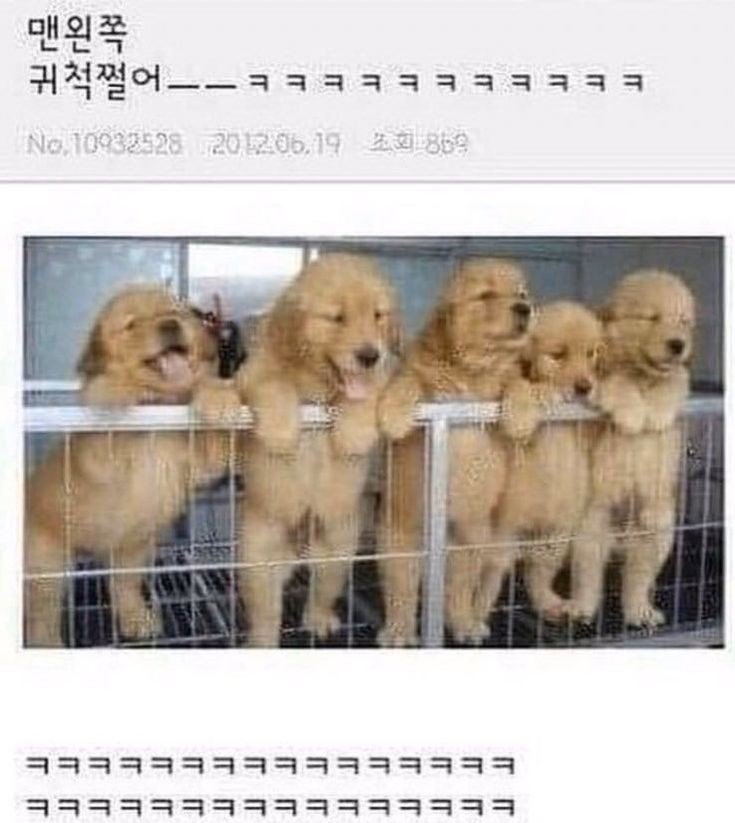 [잡담] 가운데 귀척 쩔어 | 인스티즈