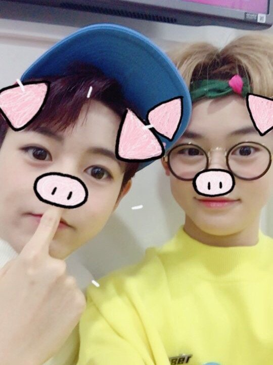 [잡담] 드림 보자마자 웃음 터지는 사진들 | 인스티즈