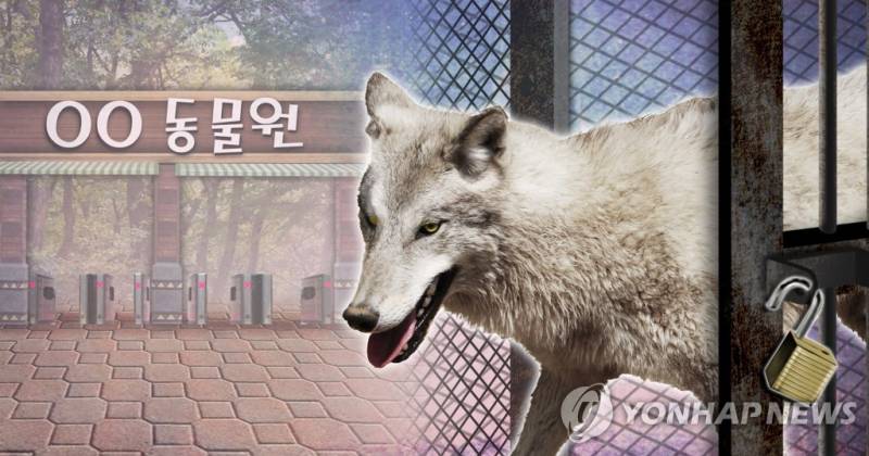 [잡담] 늑대 생각보다 크네 | 인스티즈