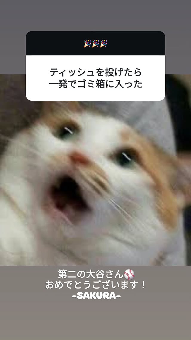 [잡담] 축하사절단 르세라핌 | 인스티즈