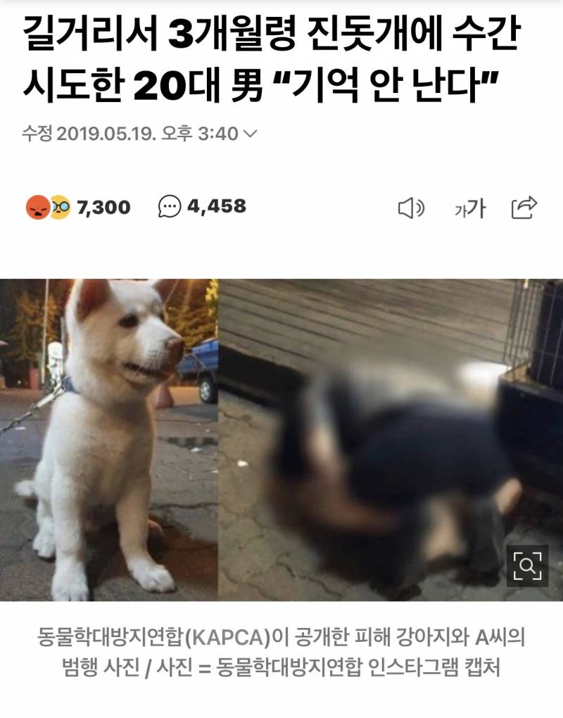[잡담] 올해 읽은 제일 충격적인 뉴스 | 인스티즈