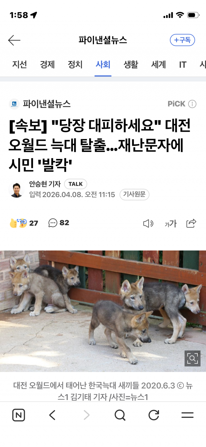 [잡담] 대전사는 파니들 조심 | 인스티즈
